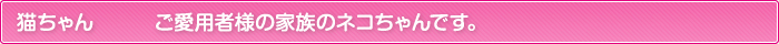 猫ちゃん　　　ご愛用者様の家族のネコちゃんです。　