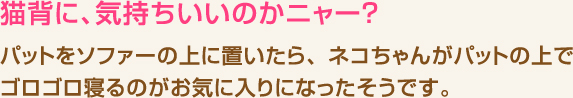 猫背に、気持ちいいのかニャー？ パットをソファーの上に置いたら、ネコちゃんがパットの上でゴロゴロ寝るのがお気に入りになったそうです。